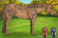 Horse Color:Brown Rabicano Brindle