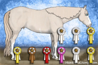 Horse Color:White Spotted Perlino Rabicano  Brindle and White Spotted Perlino Rabicano  Brindle and White Spotted Perlino Rabicano  Brindle