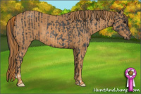 Horse Color:Brown Rabicano Brindle