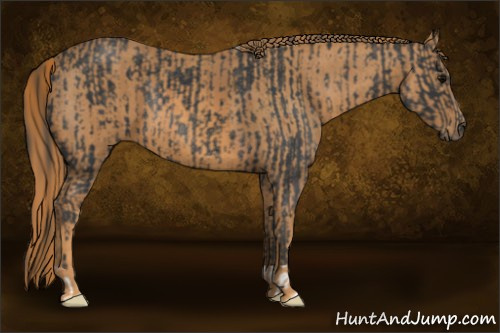 Horse Color: Brown Rabicano  Brindle