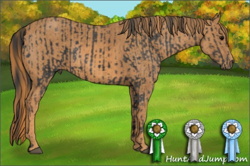 Horse Color: Brown Rabicano  Brindle