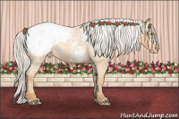 Horse Color:Silver Sable Cream Champagne Roan Snowcap 