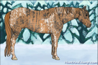 Horse Color:Brown Tobiano Rabicano Brindle