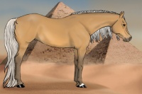 Horse Color:Silver Buckskin 