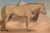 Horse Color:Chestnut Rabicano 