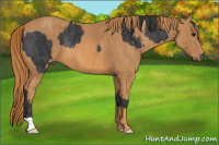 Horse Color:Brown Rabicano Brindle