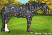 Horse Color:Liver Chestnut Snowflake Varnish 
