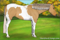 Horse Color:Gray Silver Buckskin Roan Dun Tobiano 