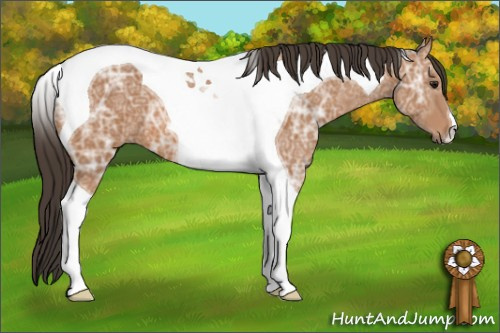 Horse Color: Bay Ice Tobiano 
