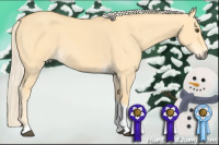Horse Color:Palomino Dun Tobiano