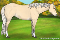 Horse Color:Silver Buckskin Dun Tobiano 