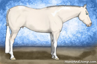 Horse Color:Silver Perlino Dun Sabino Tobiano 
