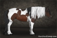 Horse Color:Bay Tobiano 