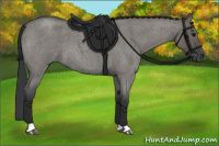 Horse Color:Grullo Roan Tobiano 