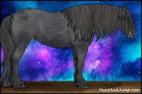 Horse Color:Black Blanket Rabicano 