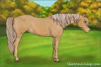 Horse Color:Palomino Varnish 