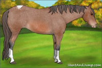 Horse Color:Bay Tobiano Varnish 