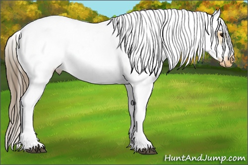 Horse Color: White Spotted Buckskin Frame Blanket 