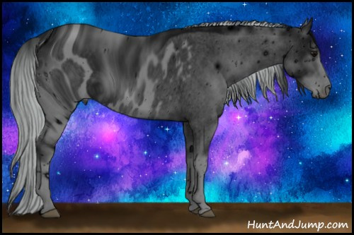 Horse Color: ERROR: UNKNOWN ANOMALY