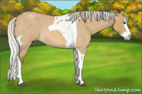 Horse Color:Silver Buckskin Roan Dun Splash Tobiano 