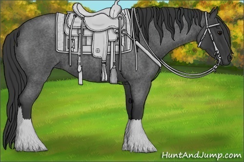 Horse Color: Blue Roan 