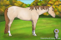 Horse Color:Bay Roan Pearl Dun 