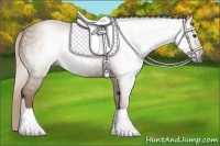 Horse Color:Gray Chestnut 