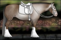 Horse Color:Gray Classic Champagne 