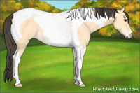 Horse Color:Buckskin Dun Tobiano