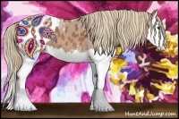 Horse Color:Chestnut Splash Blanket 