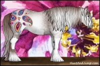 Horse Color:Gray Chestnut 