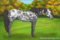 Horse Color:Black Ice  Brindle