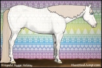 Horse Color:Perlino Roan Dun 