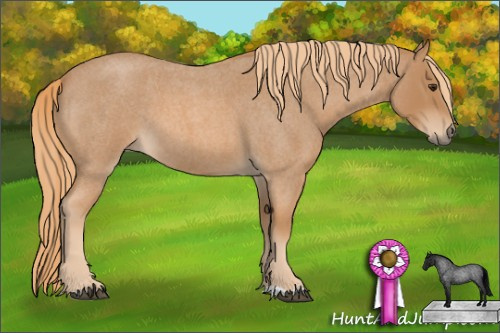 Horse Color: Red Roan 