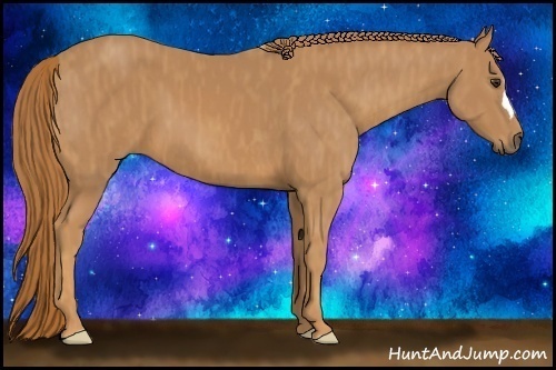 Horse Color: Chestnut  Brindle