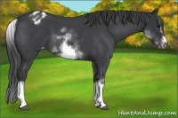Horse Color:White Spotted Blue Roan Splash Frame Blanket 
