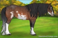 Horse Color:Bay Splash Frame  Brindle