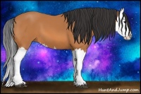 Horse Color:Bay Splash 