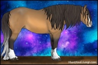 Horse Color:Buckskin Splash 