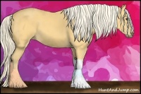Horse Color:Palomino 