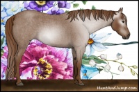 Horse Color:Gray Red Roan Sabino 