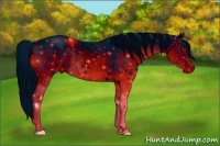 Horse Color:ERROR: UNKNOWN ANOMALY Brindle