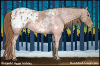 Horse Color:Chestnut Ice Appaloosa 