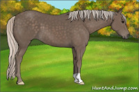 Horse Color:Silver Black 