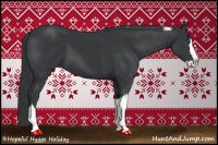 Horse Color:Black Splash Tobiano 