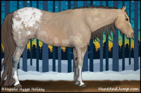 Horse Color:Bay Ice Appaloosa 