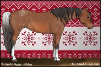 Horse Color:White Spotted Bay Roan 