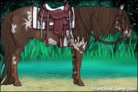 Horse Color:Liver Chestnut Ice  Brindle