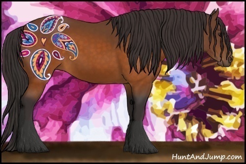 Horse Color: Buckskin 