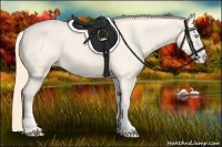 Horse Color:Perlino Varnish 